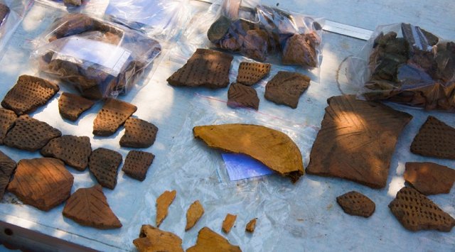 극동연방대학교 고고학자들, 고대 연해주 주민들이 먹었던 식량 발견